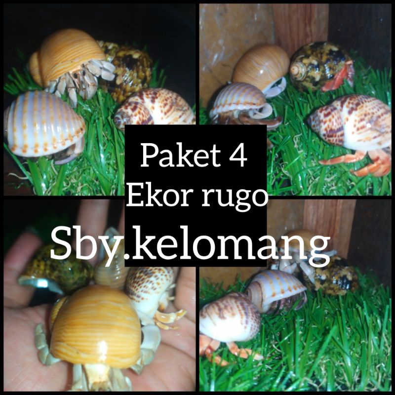 PAKET SERBA RUGO DAPAT 4