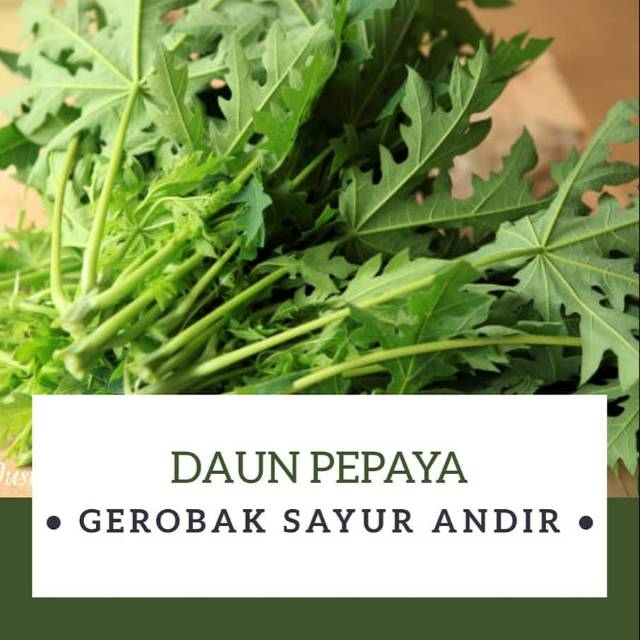 

Daun Pepaya /ikat