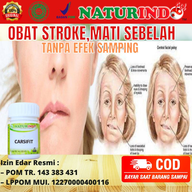 Obat Stroke Herbal Ampuh Lumpuh Susah Bicara Penyumbatan Otak Syaraf Setrok Strok Wajah Setengah Badan