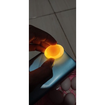 

TELUR MERPATI ASLI OBAT TRADISIONAL PENURUN PANAS / DEMAM