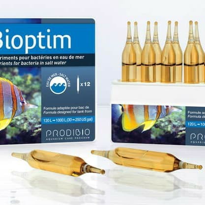 Bioptim Prodibio 1 Vial ampul Living Bacteria Bakteri starter