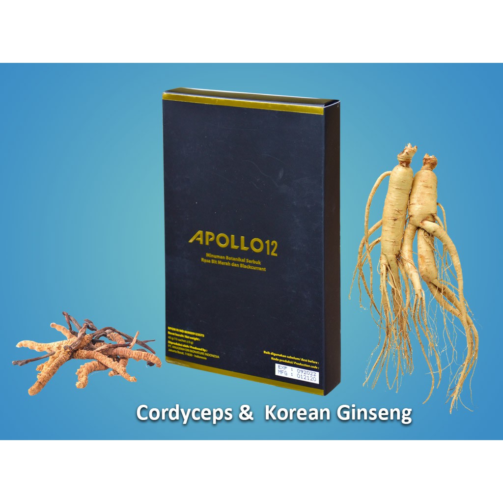 Obat Herbal APOLLO 12 Asli