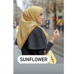 BUTTONSCARVES LOUVRE EXTENDED