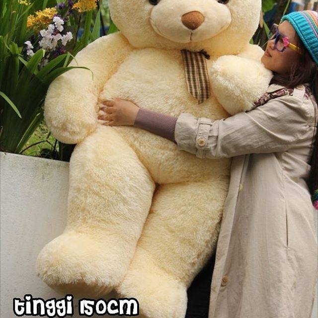 Bear giant cream