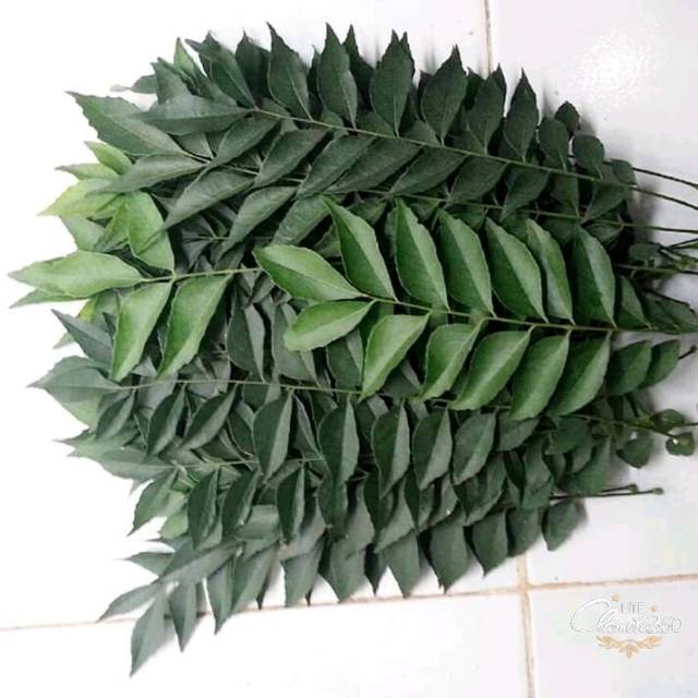 

Daun Kari