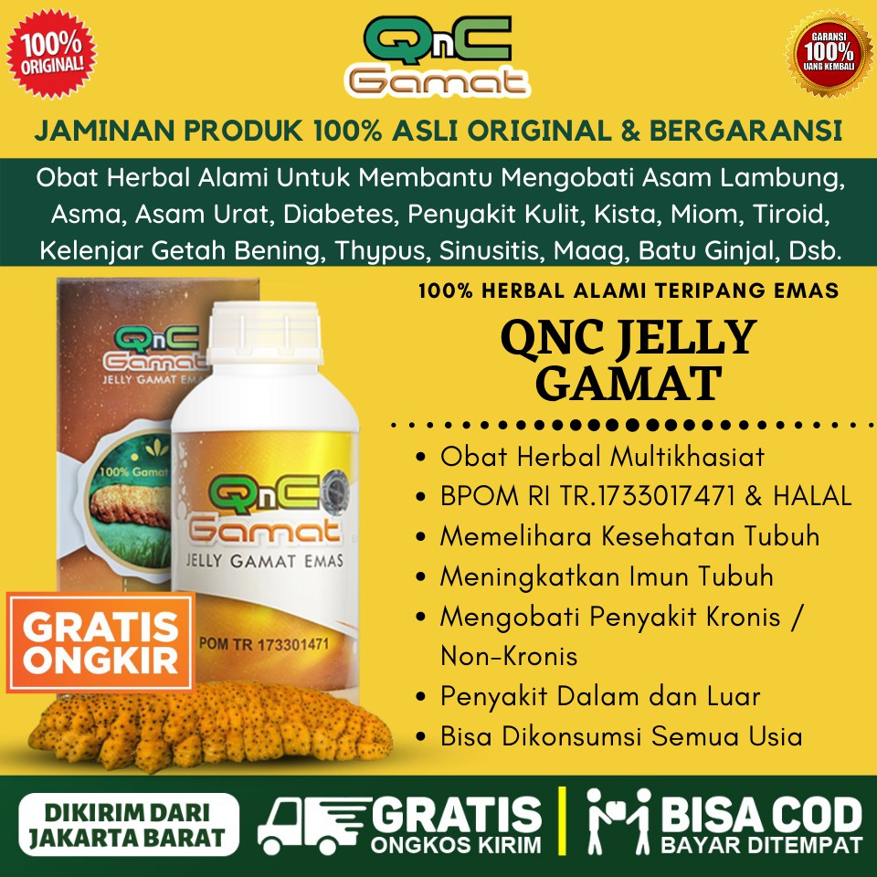 

OBAT HERBAL ASMA KRONIS, PARU PARU BASAH, SESAK NAFAS, BRONHITIS, BATUK MENAHUN - QNC JELLY GAMAT