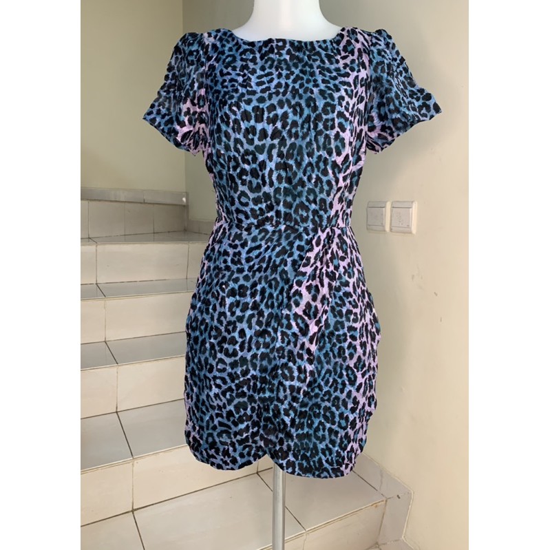 

leopard