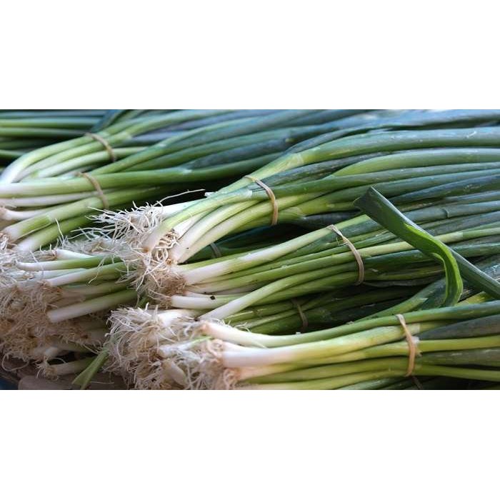

Daun Bawang fresh 500gram