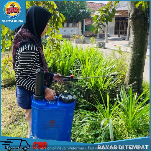 sprayer pertanian elektrik 2in1 alat penyemprot hama