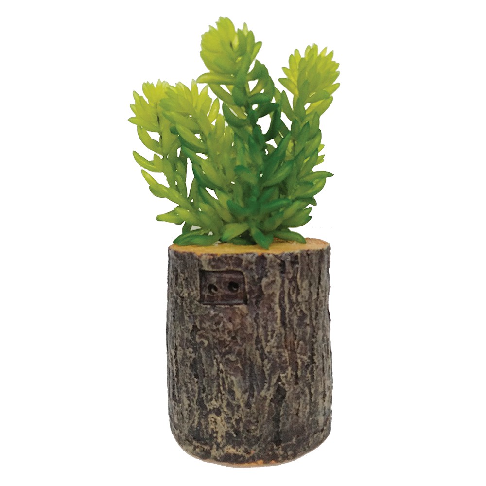 

JYSK Tanaman Hias Artificial Plant With Pot YXX-4 Assorted