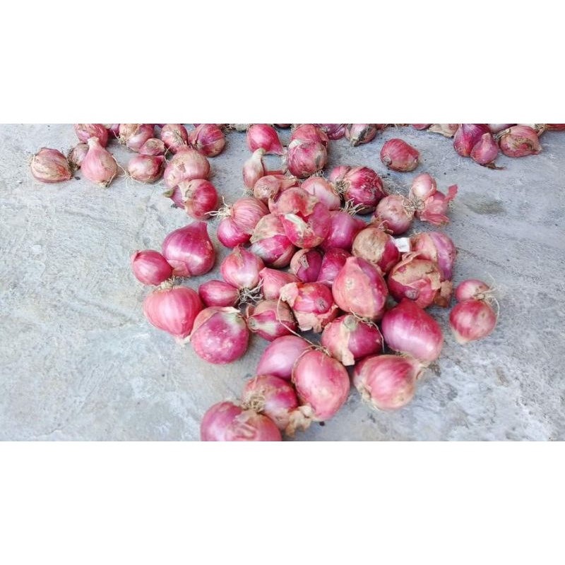 

BAWANG MERAH BUMBU MASAK