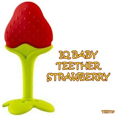 TEET17 IQ BABY TEETHER STRAWBERRY WITH HANDLE GIGITAN BAYI