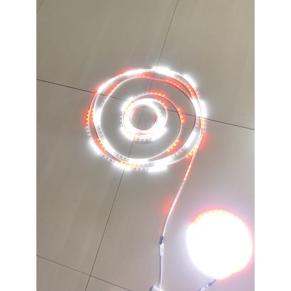 LAMPU LED STRIP SELANG( WARNA WARNI)(MERAH PUTIH) 3528 2835 220V + ADAPTOR 9METER 5050 OUTDOOR RGB LAMPU TIKTOK