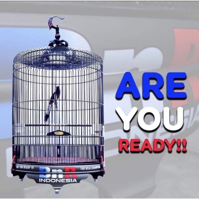 SANGKAR MURAI BNR INDONESIA ARE YOU READY NO 2