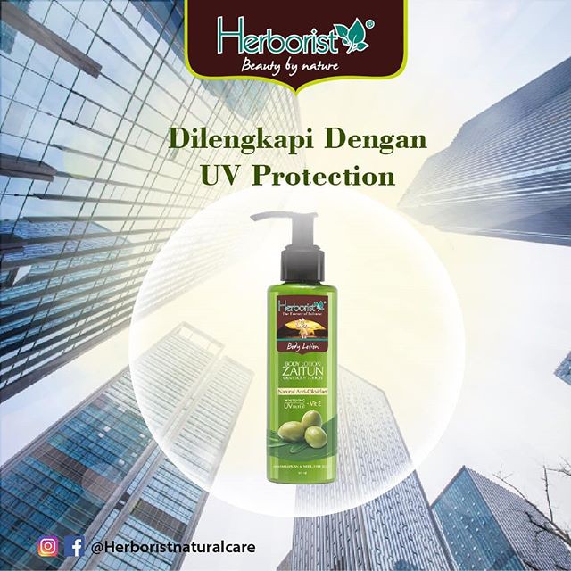 Herborist body lotion zaitun 145ml