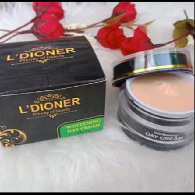 night & day cream/l'dioner