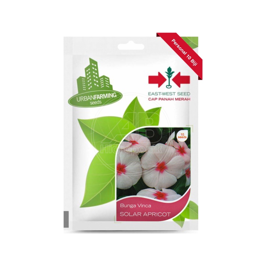Benih Bunga Vinca Solar Apricot / Tapak Dara Cap Panah Merah Isi 10 Butir