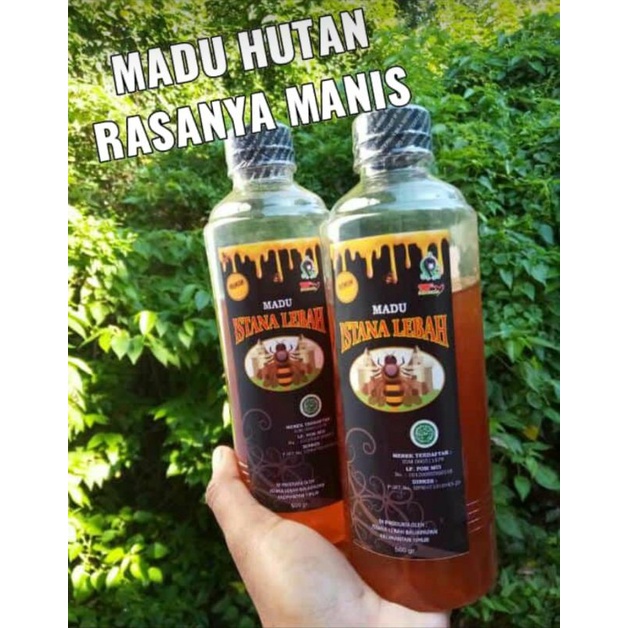 Madu Hutan Kalimantan 500gr  Istana Lebah Asli Kalimantan Balikpapan