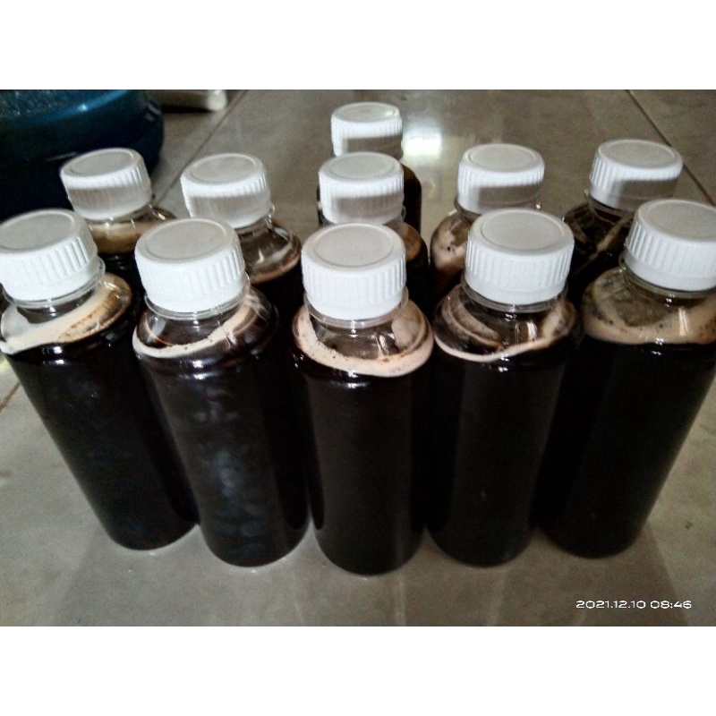 

Madu Melifera kemasan 1 kg