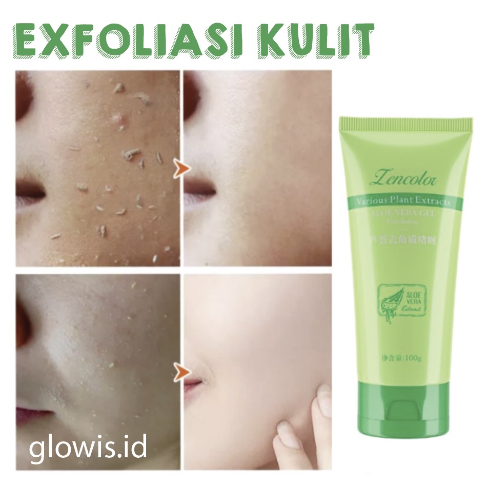 Exfoliating Aloe Vera Centella Asiatica Peeling Gel Eksfoliasi Wajah Kulit 60g XX071