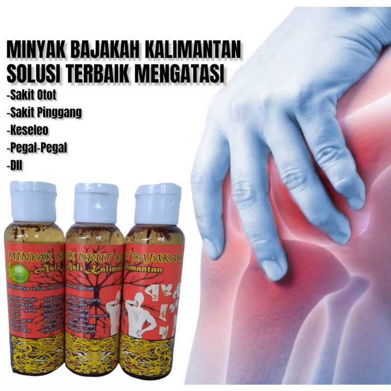 MINYAK BAJAKAH ASLI KALIMANTAN / MINYAK URUT BAJAKAH