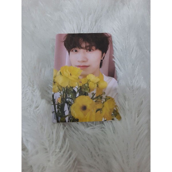 PHOTOCARD POB BLOOMING TREASURE YEDAM / POB YEDAM BLOOMING