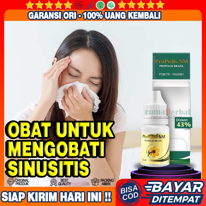 Obat Sinusitis, Obat Sinusitis Paling Amp, Obat Sinusitis Herbal, Obat Sinusitis Kronis -  Propolis