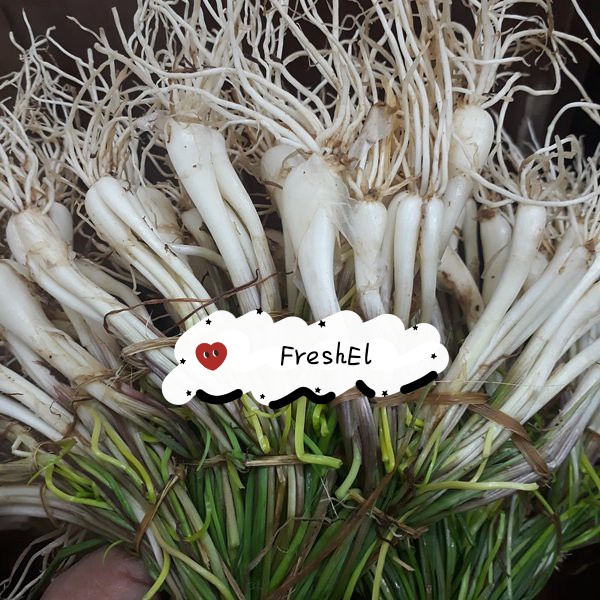 

FreshEl - LOKIO BAWANG BATAK 1 IKAT