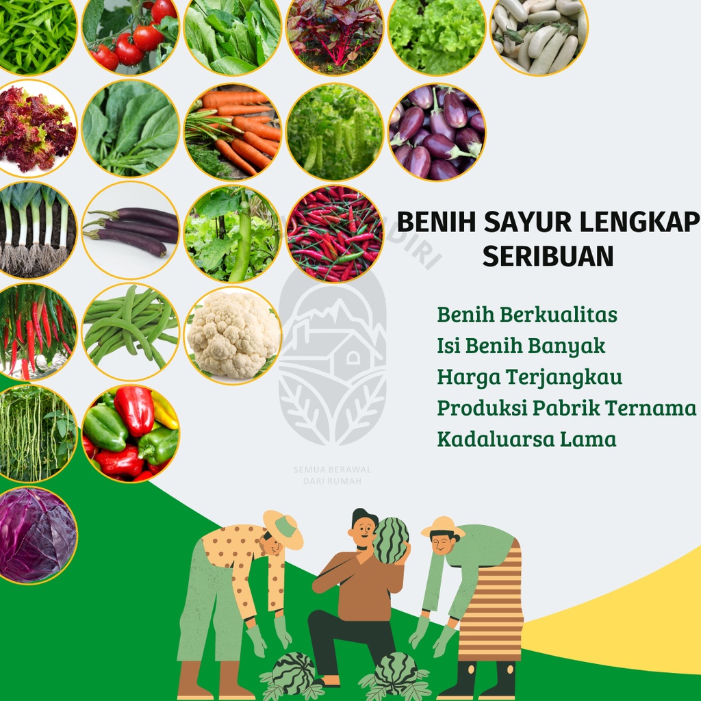 Benih Sayuran Lengkap Seribuan