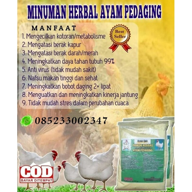 

Jamu herbal nyiur ejuh untuk ternak ayam