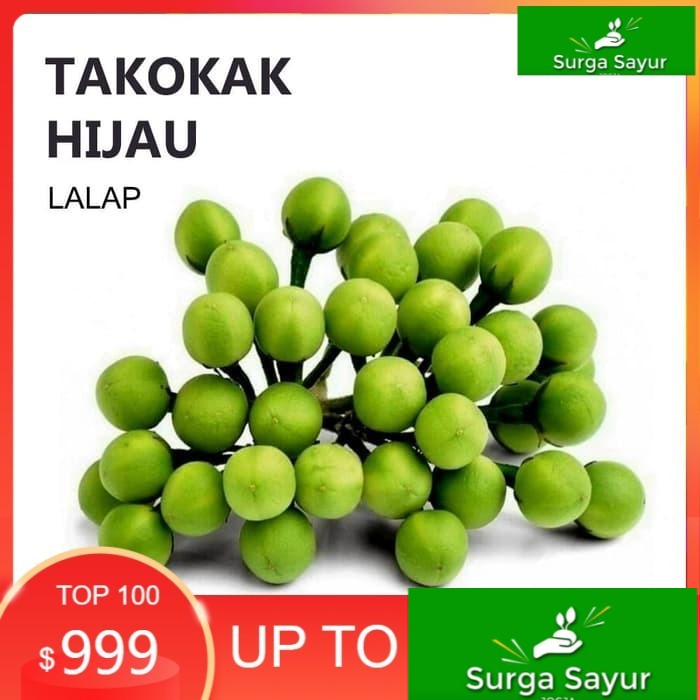 

SURGA SAYUR BUAH TAKOKAK FRESH - SAYUR LALAP [100g] SEJABODETABEK BISA KIRIM INSTANT DGN GOSEND/ GR