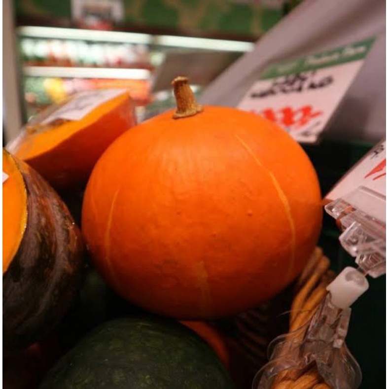 

kabocha/labu jpn /pumkin