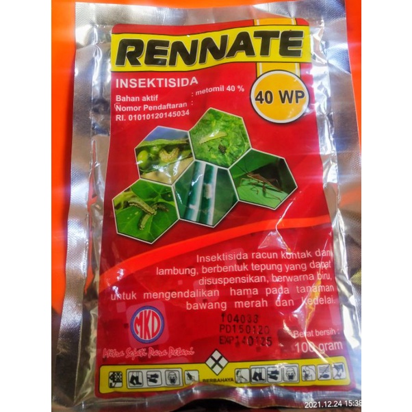 Insektisida Rennate 40wp 100gr