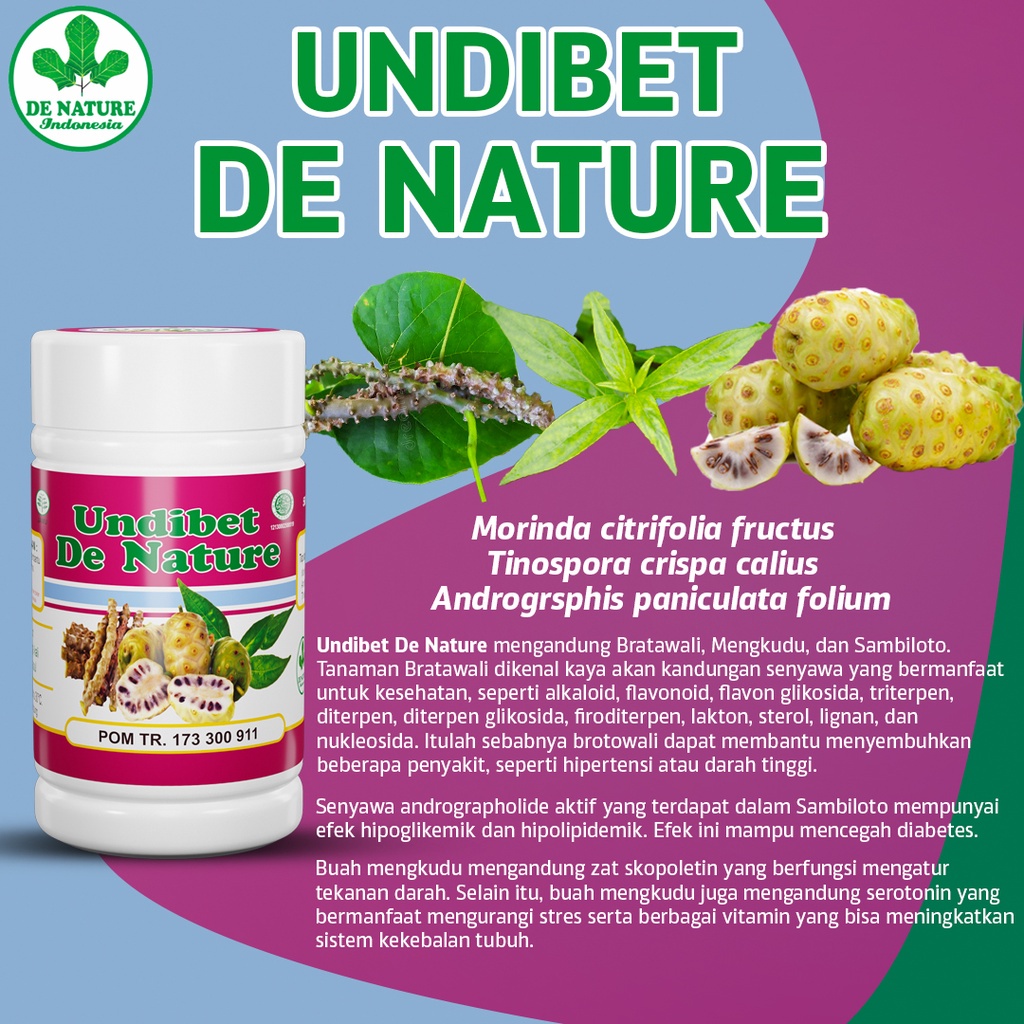 Obat Diabetes UNDIBET DE NATURE | Gula Kering Basah Kencing Manis | Darah Yang Paling Ampuh Herbal T