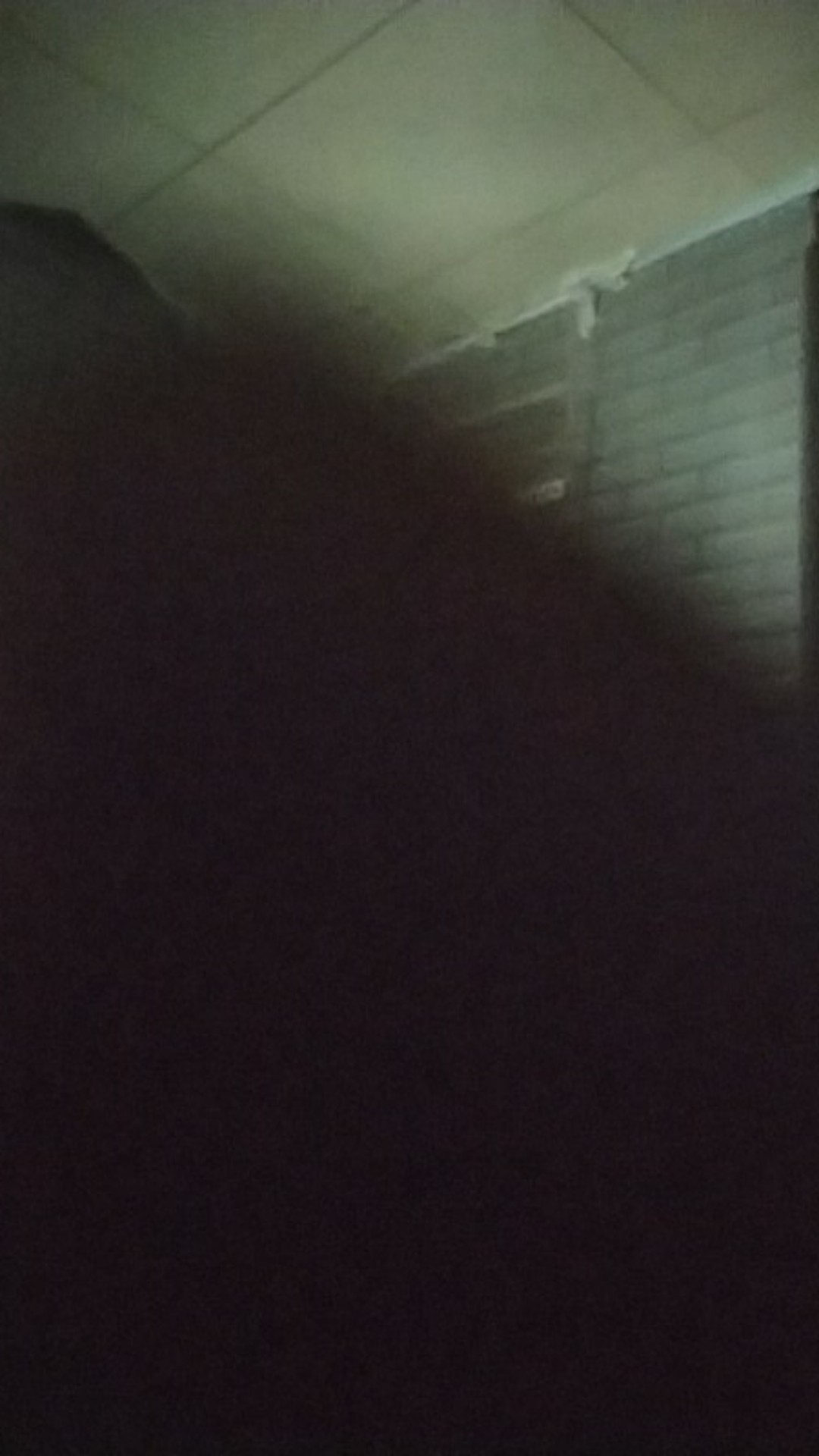 Payung Pvc Anak Karakter Full Print