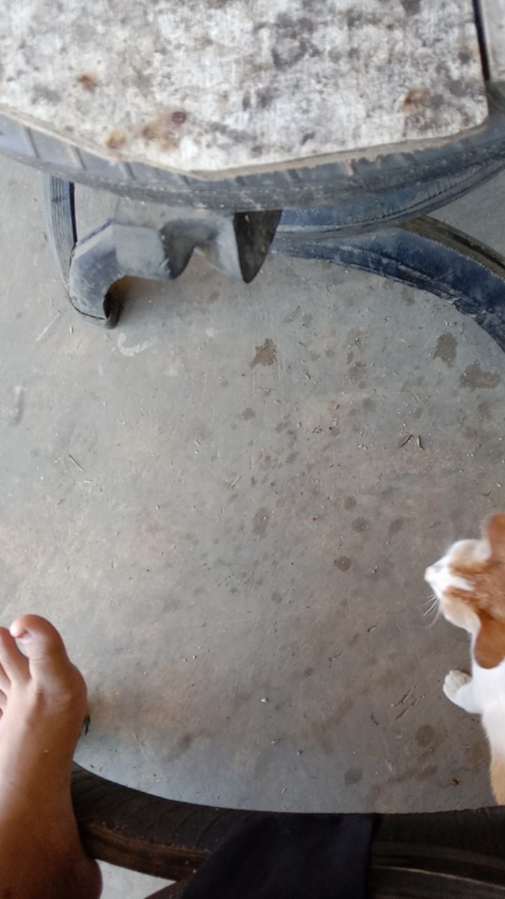 Maura Couple - Sania Ruffle Batik Couple Ori Ndoro Jowi Dnt Garansi Termurah Seharga Rp62.000 -