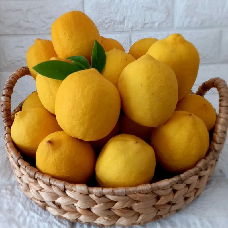 

Lemon Import