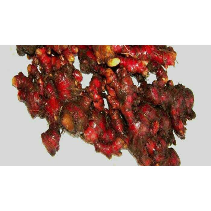 

Harga per pack_ 1kg jahe merah segar