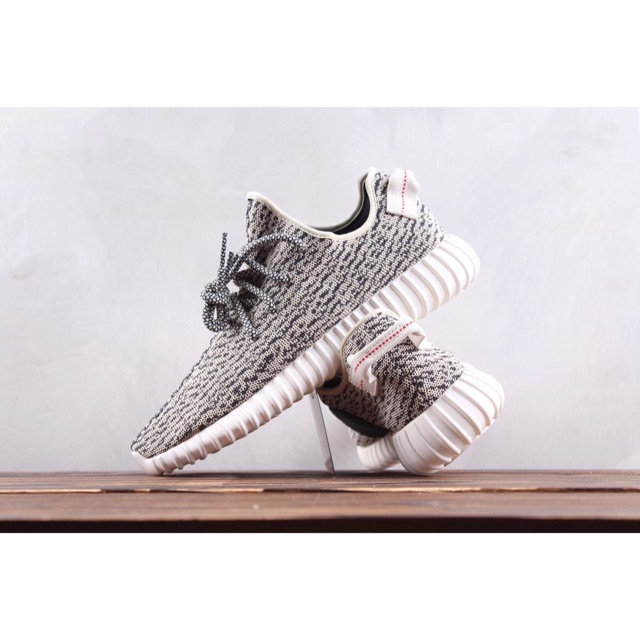 turtle dove v1