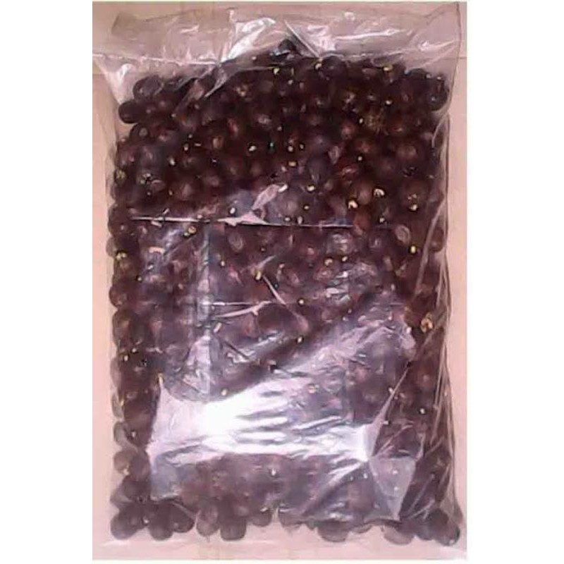 Biji bibit Karet Pb260 perbungkus 500 biji