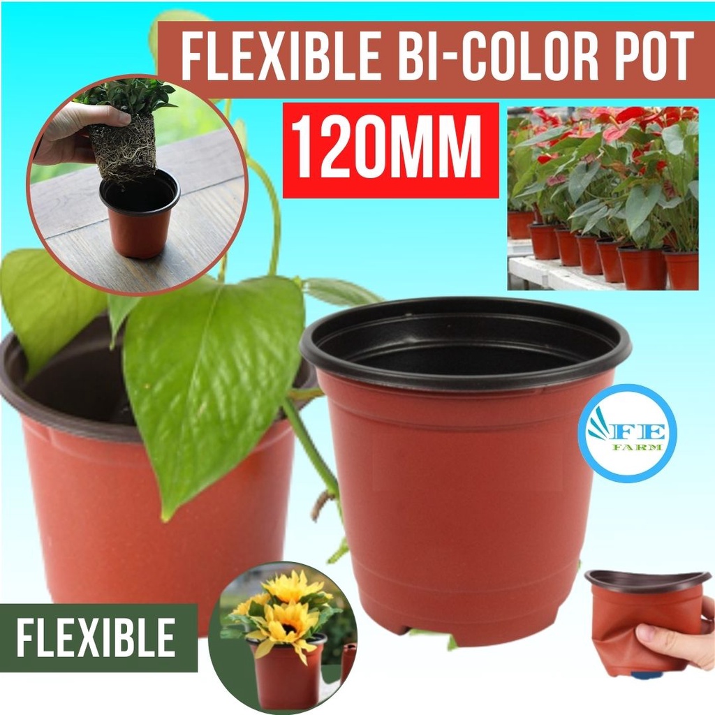 Double Color Flexible Flower Pot / Pot Bunga Elastis Dua Warna, 12 cm FEFARM