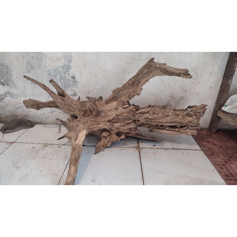 Kayu santigi laut / karang kayu tenggelam kayu aquascape