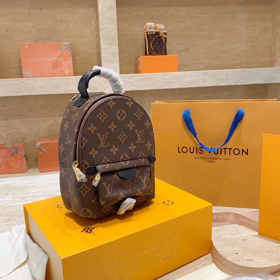 louis vuitton ransel