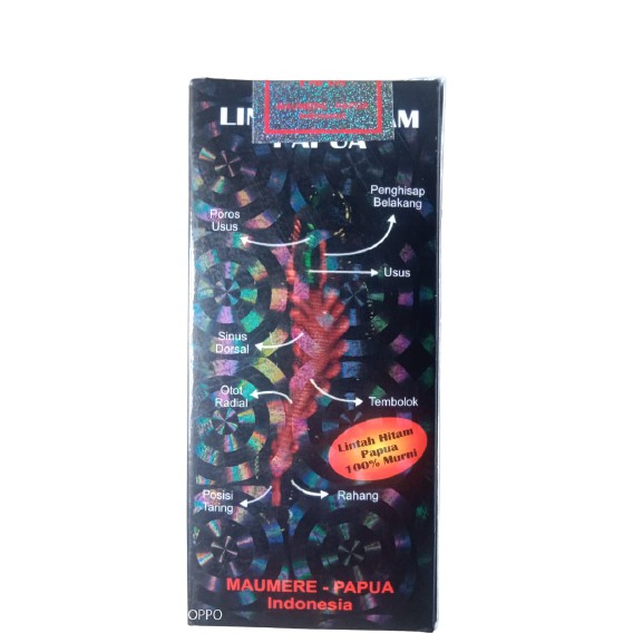 Minyak_Lintah_Papua_Hitam_Segel_SILVER ORI(beli 10 gratis 1)