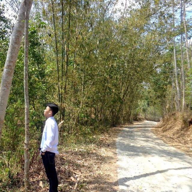 muhammadsatyatsalits