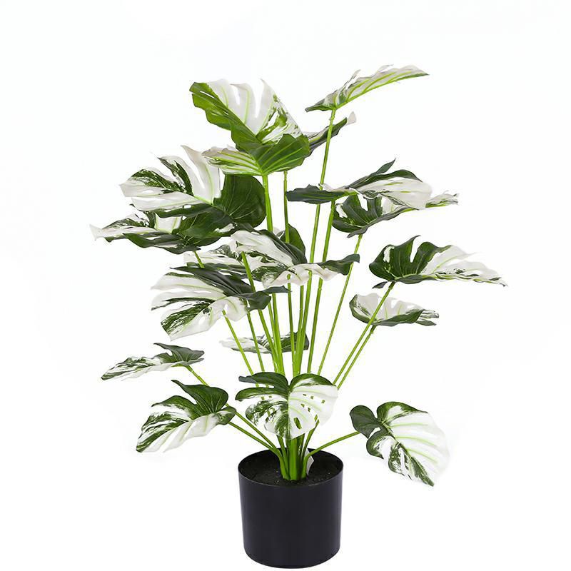 Tanaman hias monstera varigata artificial
