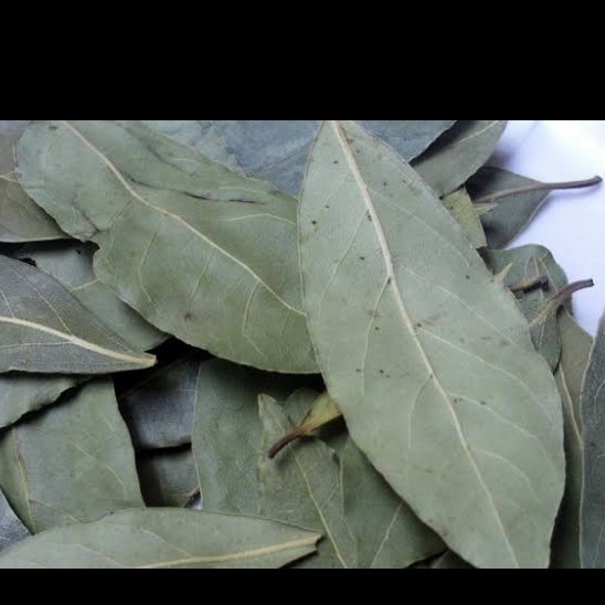 

daun salam 250 gram