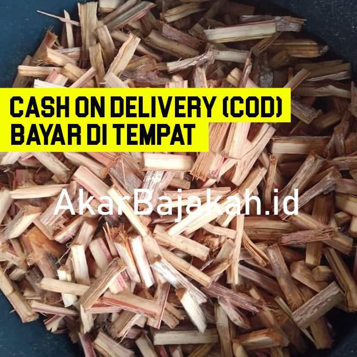 

Terbaru Bajakah - Paket Siap Seduh Herbal Kanker
