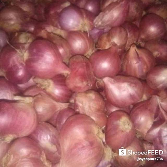 

Bawang merah asli langsung dari petani