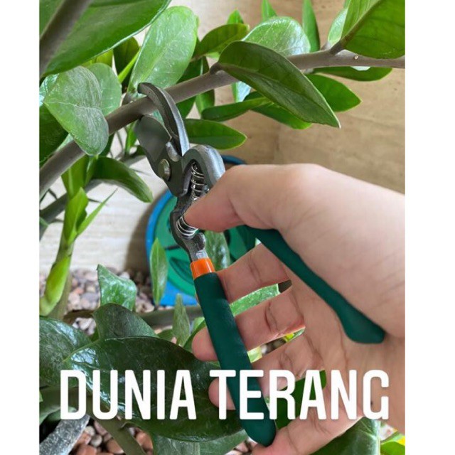 Gunting Dahan MULLER ML-302 Gg Lurus Karet Per - Gt Kebun Ranting Tanaman Bunga - Pruning Shear